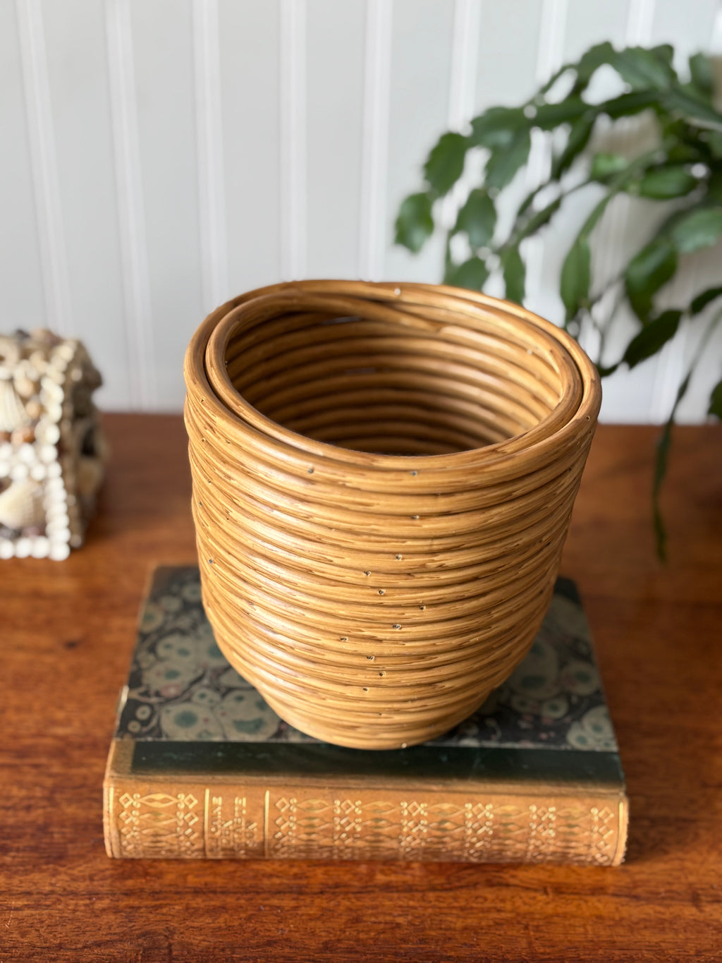 Vintage Pencil Reed Planter with Wood Base
