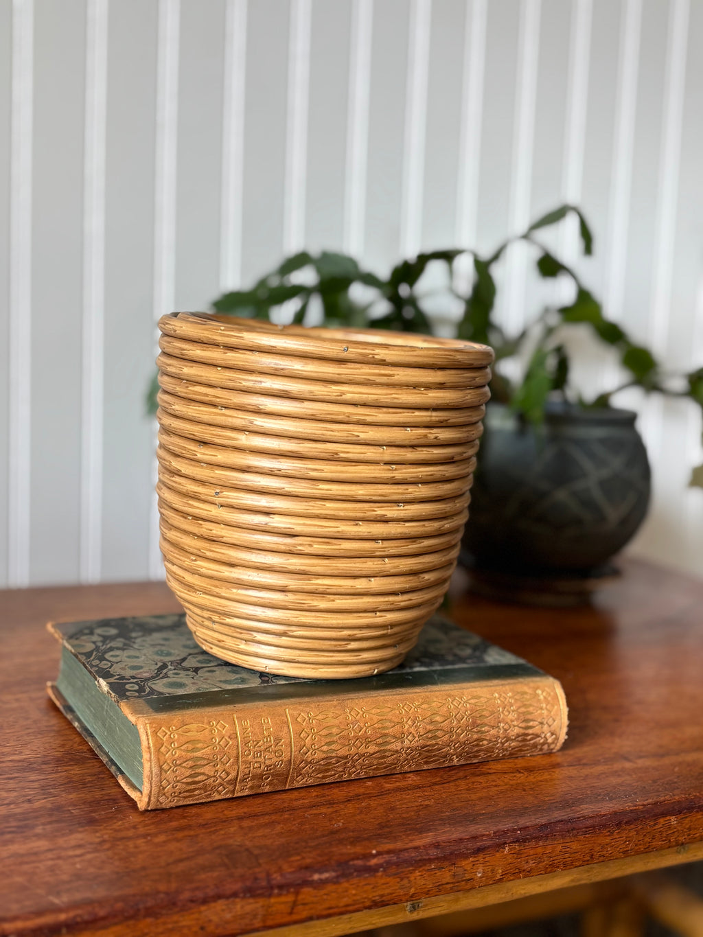 Vintage Pencil Reed Planter with Wood Base