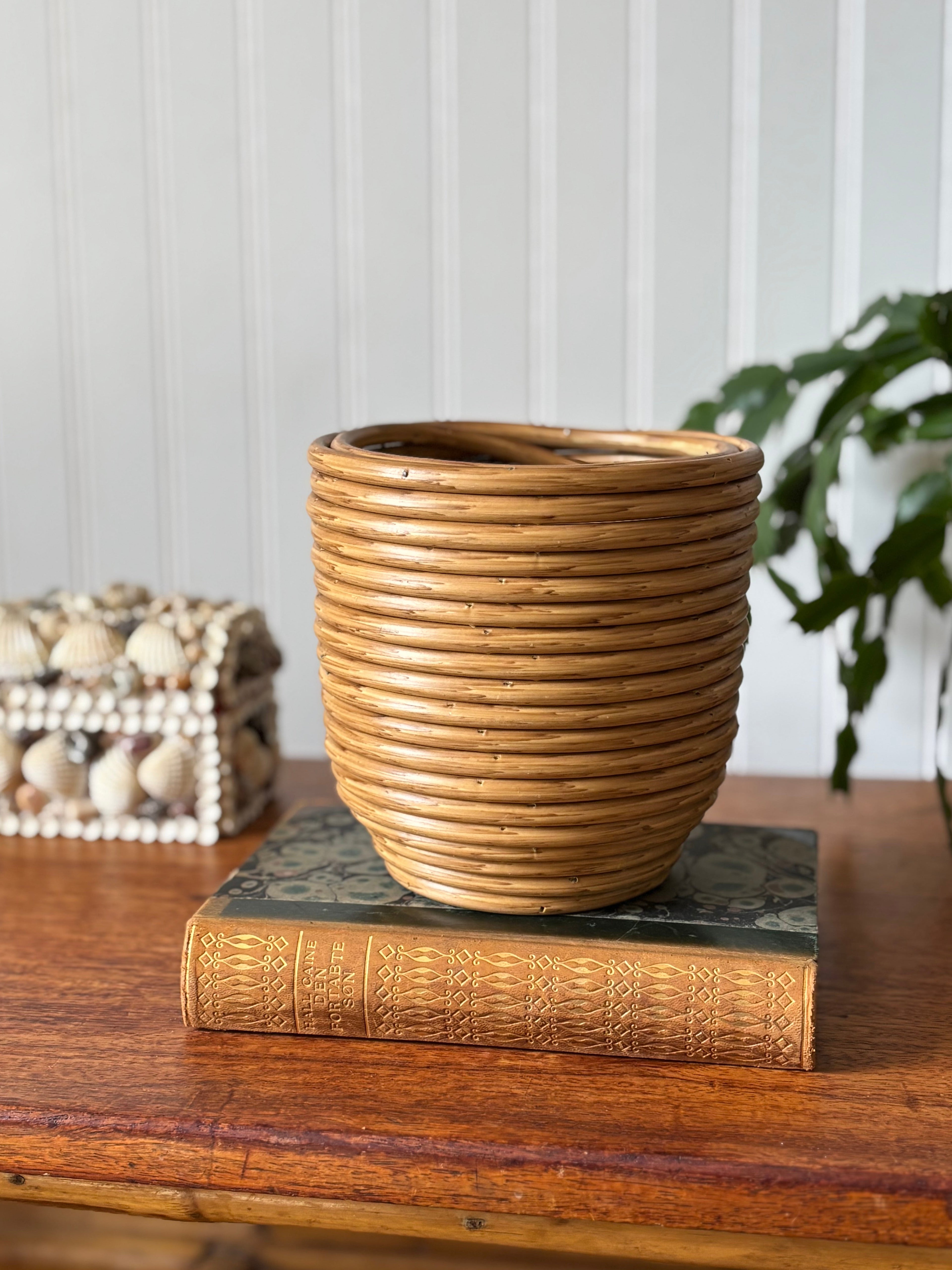 Vintage Pencil Reed Planter with Wood Base