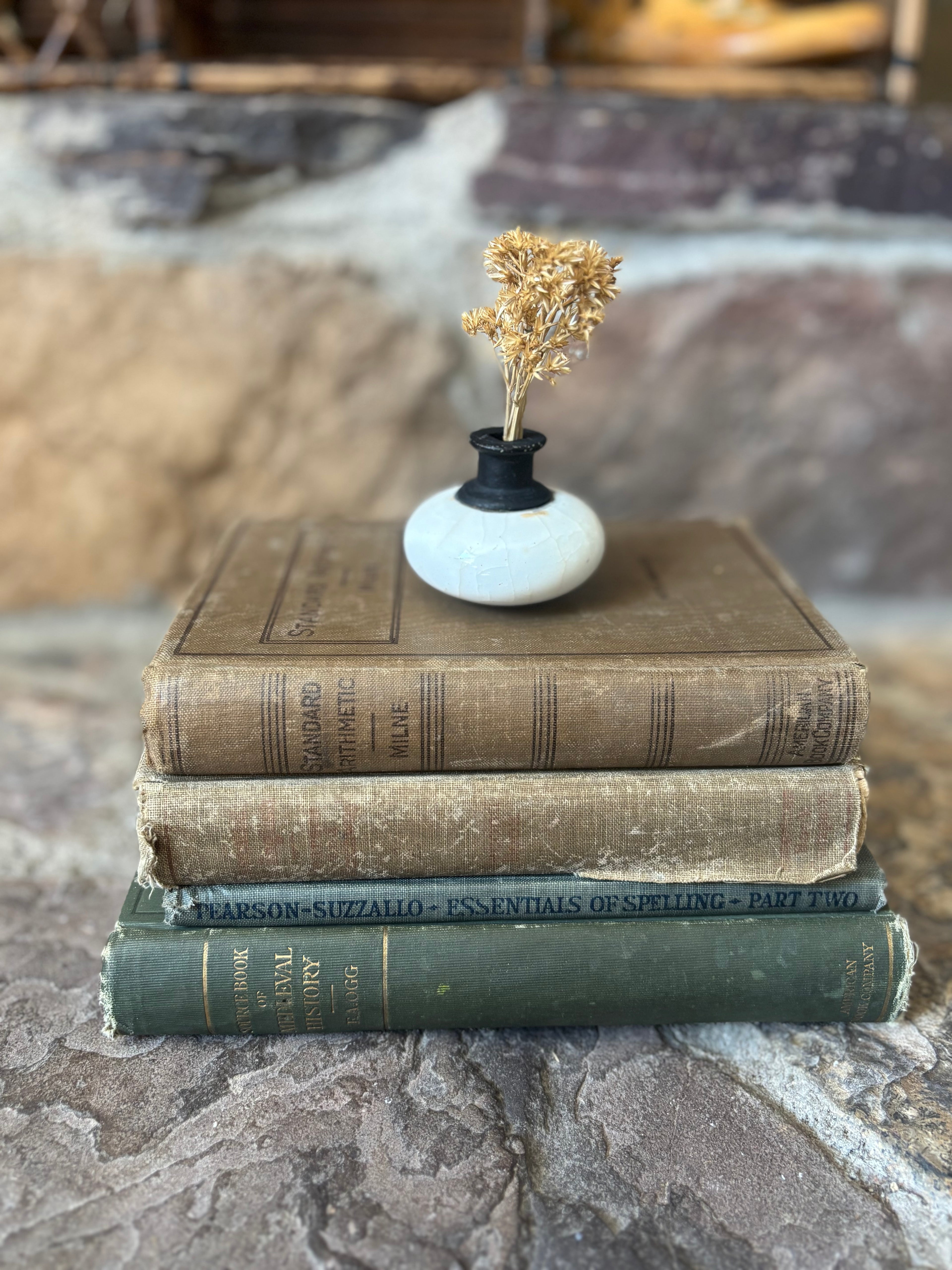 Antique School Textbooks & History Book