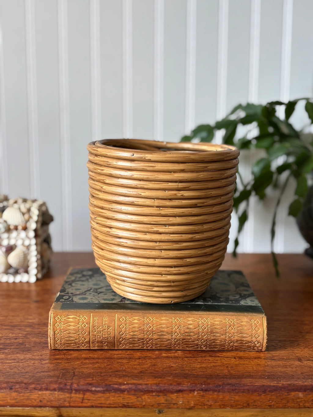 Vintage Pencil Reed Planter with Wood Base