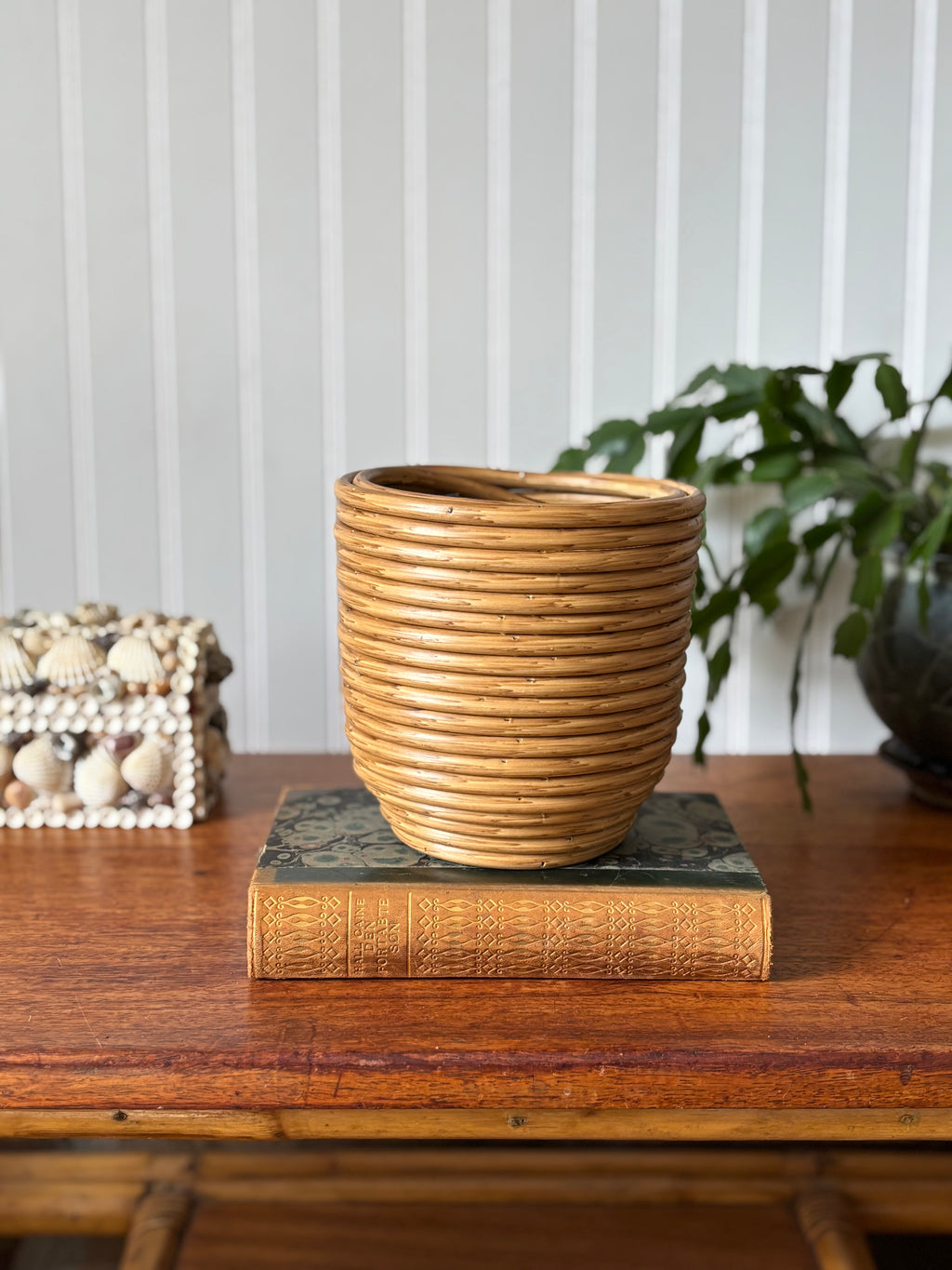 Vintage Pencil Reed Planter with Wood Base