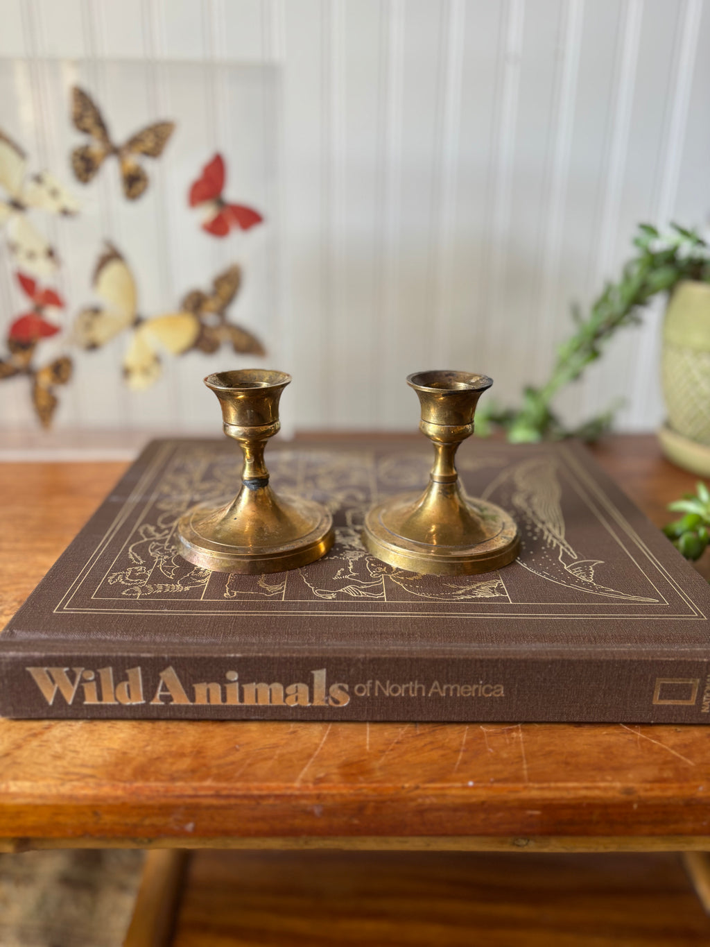 Vintage Short Brass Candlestick Holders, Set of 2