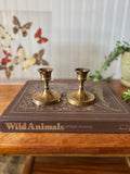 Vintage Short Brass Candlestick Holders, Set of 2