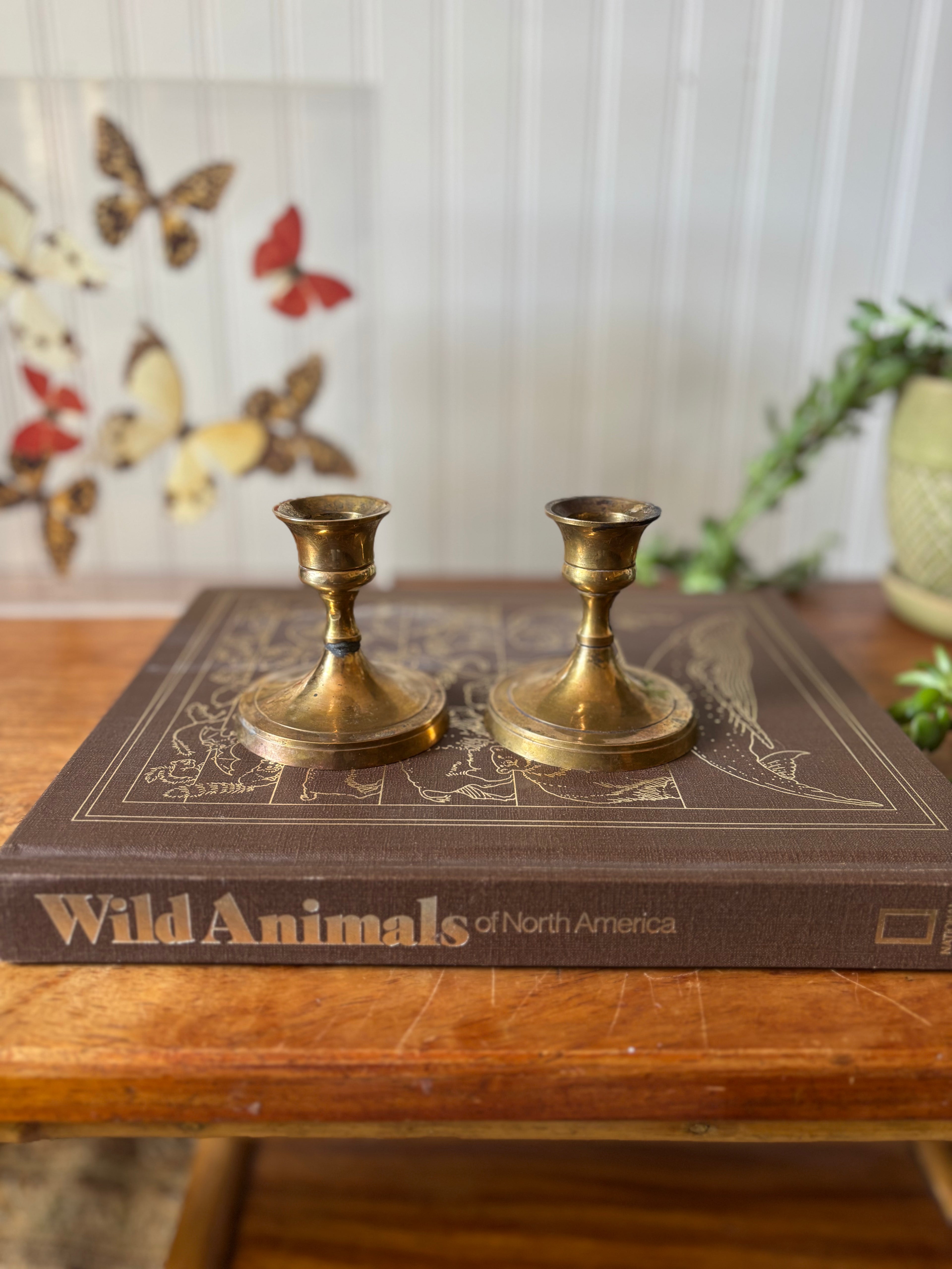 Vintage Short Brass Candlestick Holders, Set of 2