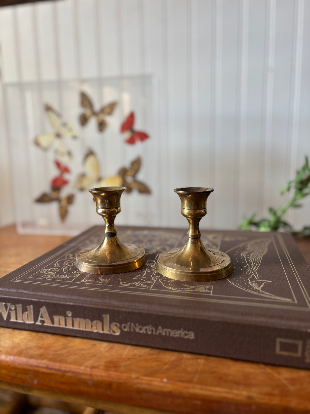Vintage Short Brass Candlestick Holders, Set of 2