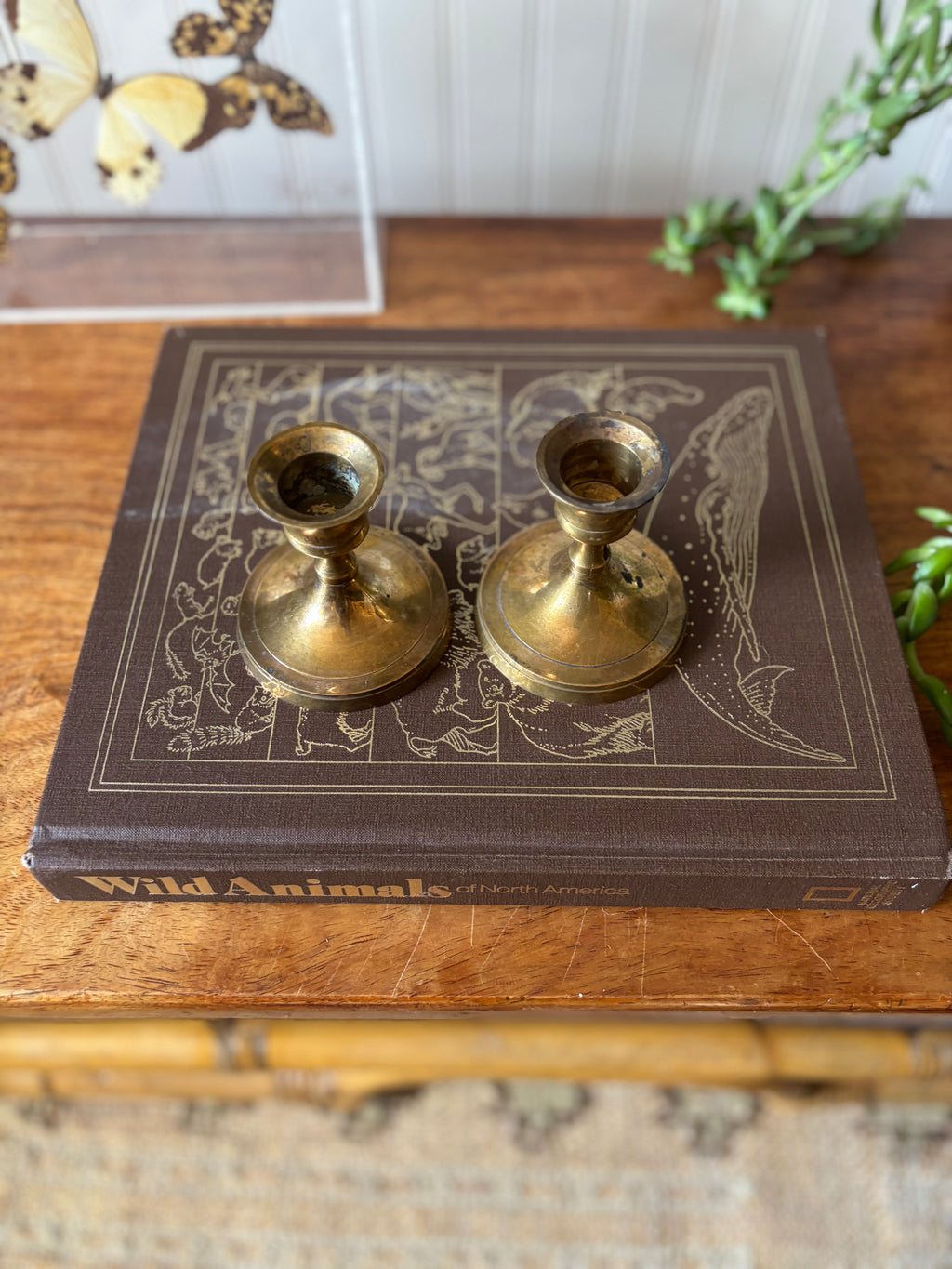 Vintage Short Brass Candlestick Holders, Set of 2