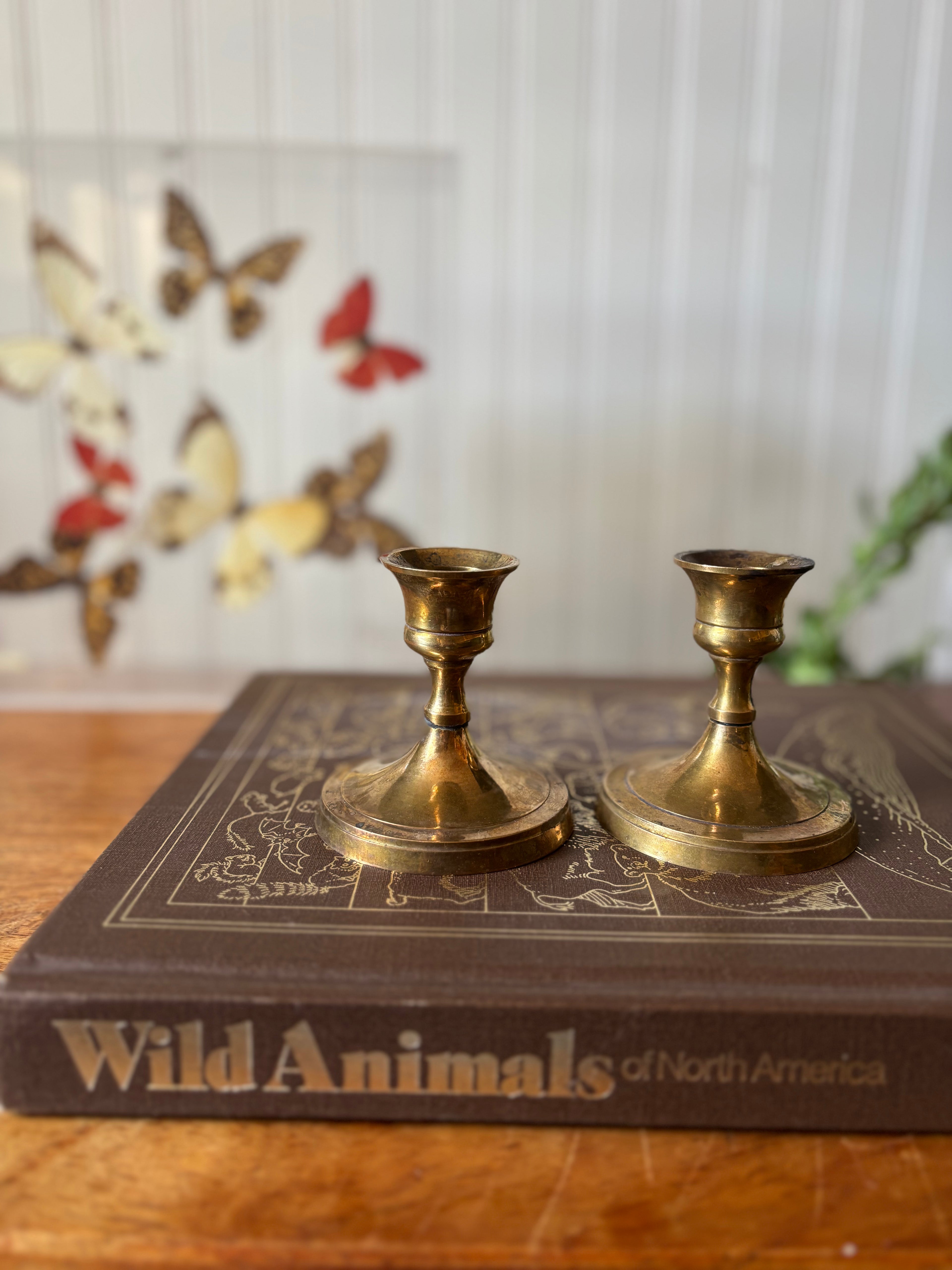 Vintage Short Brass Candlestick Holders, Set of 2
